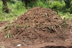 SierraLeone22643-Charcoal-processing.