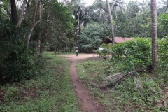 SierraLeone22643-Community-landscape-1