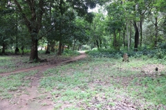 SierraLeone22643-Community-landscape-2