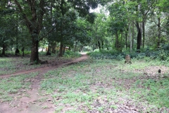 SierraLeone22643-Community-landscape-2