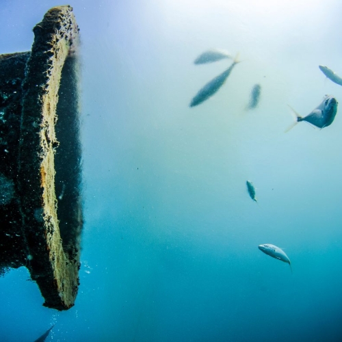 What is desalination, and why is it important? & Overström