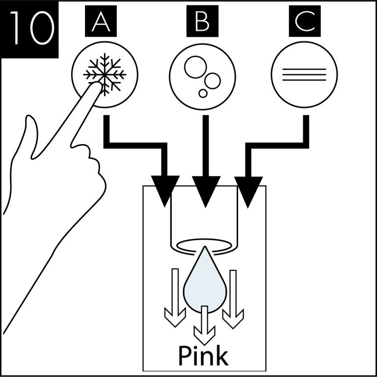 Sani Step 10