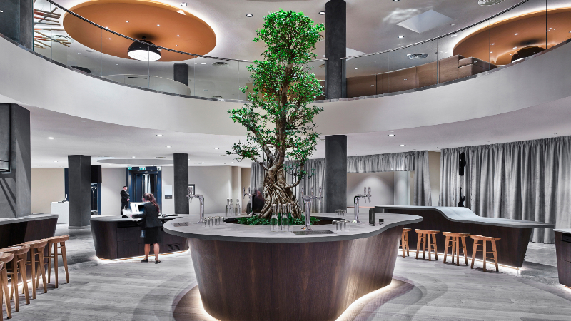 A business front of house facilitated with Borg & Overström water taps centred around a healthy growing tree