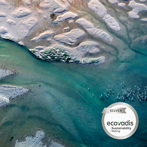 Birds-eye perspective of an open sea with seagulls flying. An EcoVadis silver award logo is located at the bottom right of the image. 