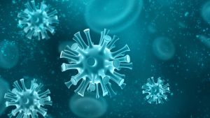 A guide to pseudomonas aeruginosa A guide to pseudomonas aeruginosa