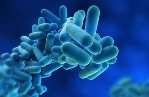 History of Legionella 