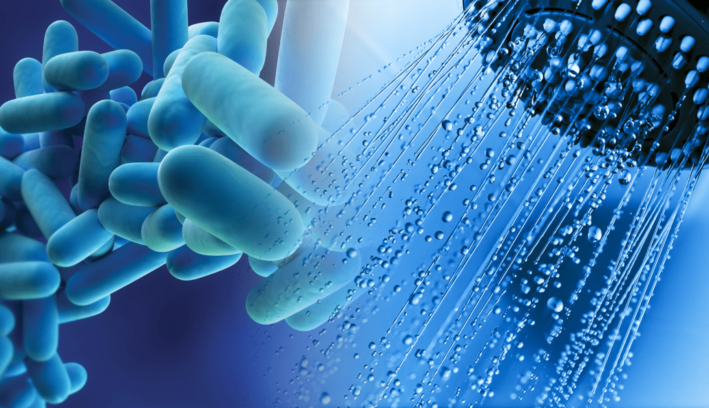 Legionella bacteria in shower water