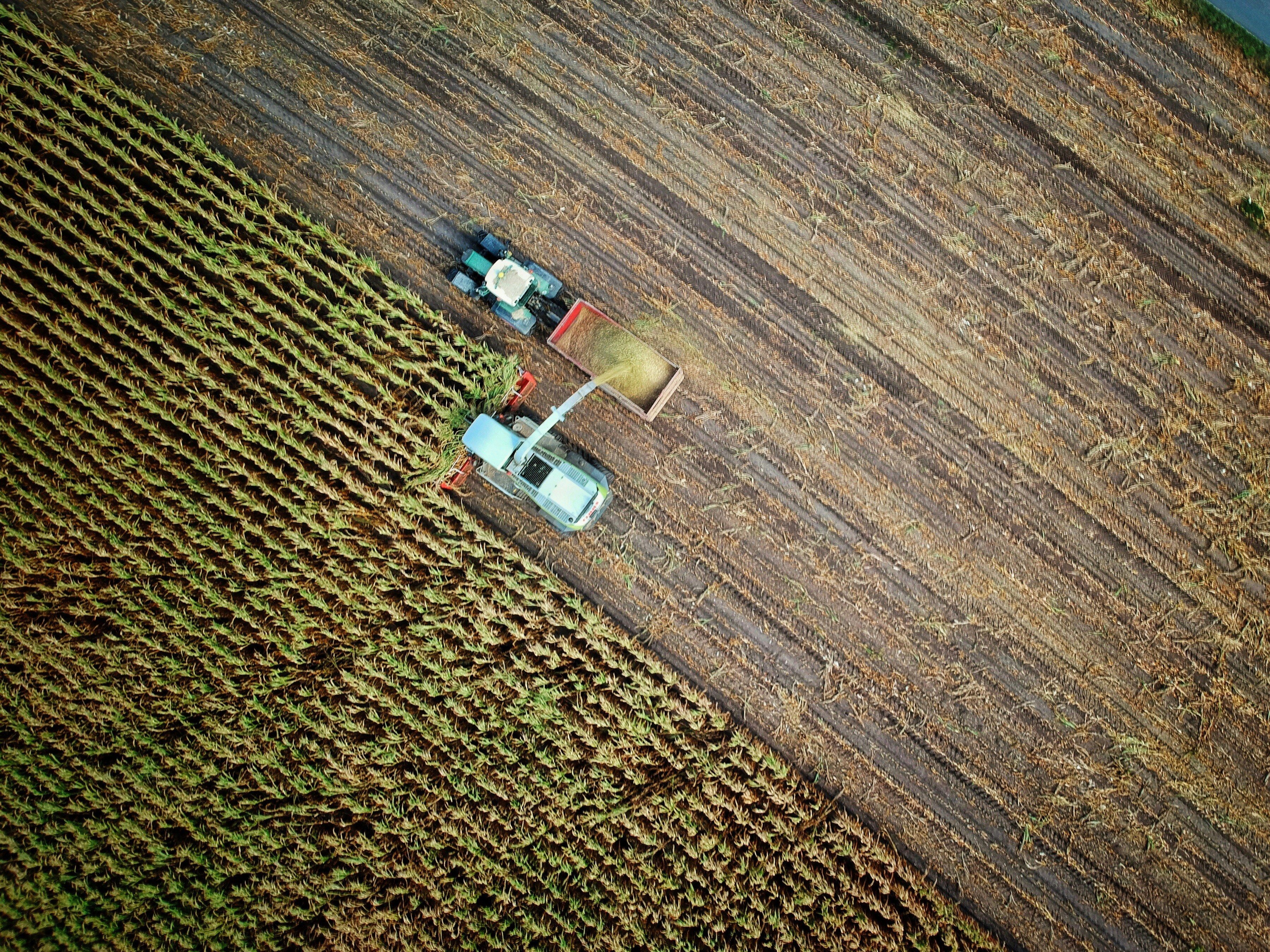 L'agriculture contribue de manière significative à la pénurie d'eau